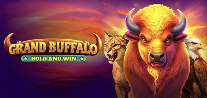Grand Buffalo Hold and Win