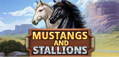 Mustangs and Stallions