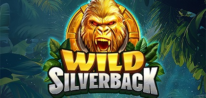 Wild Silverback