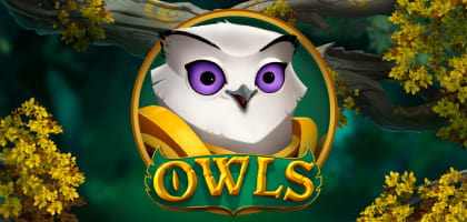 Owls