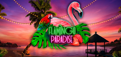 Flamingo paradise