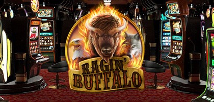 Ragin' buffalo
