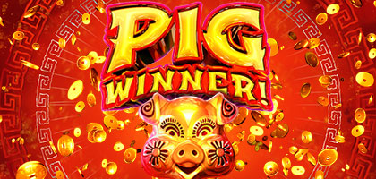 Pig Winner